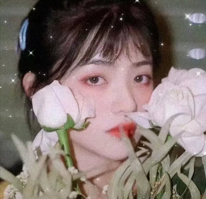 阿尔及尔的末代王后